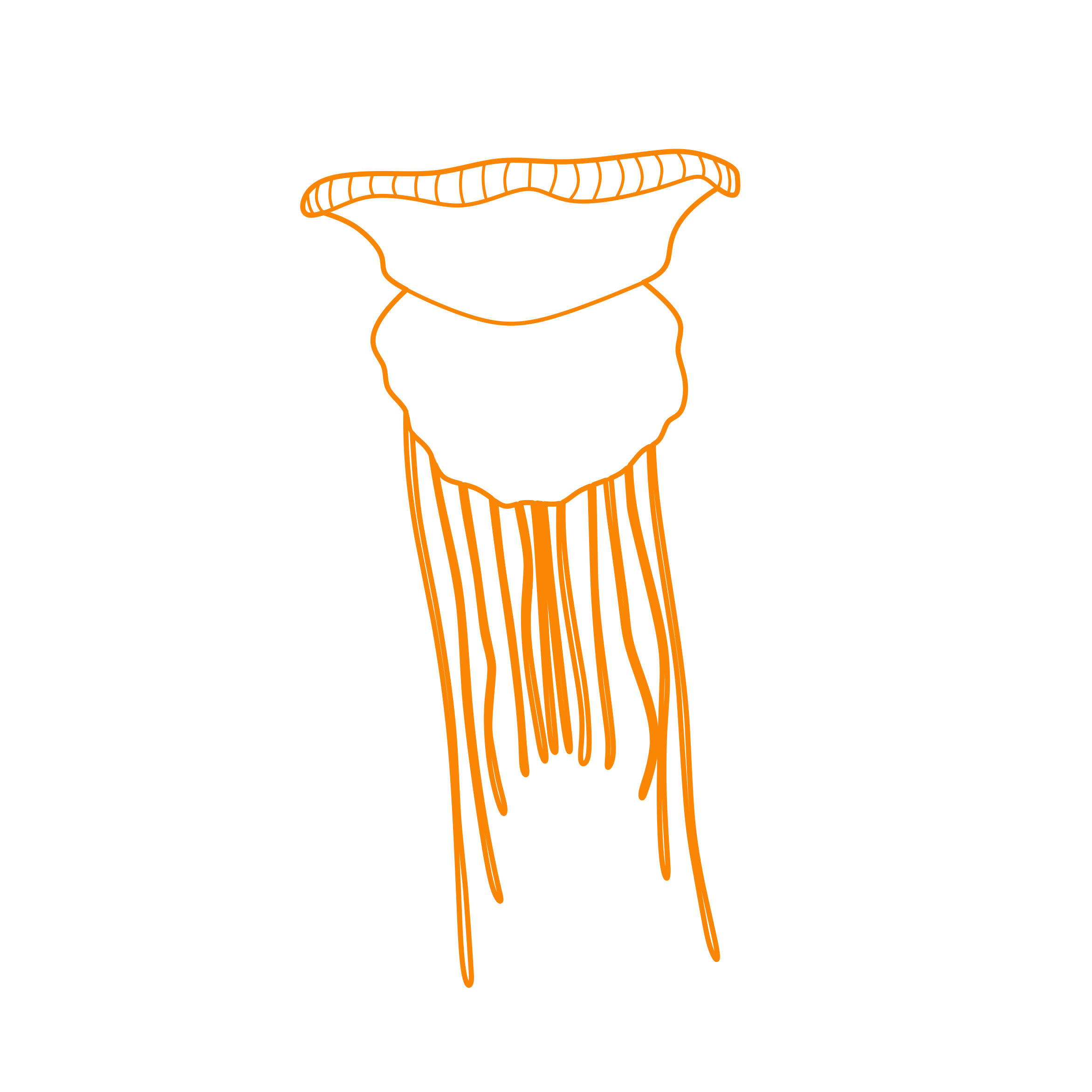 Animals Jellyfish Pink Meanie Jellyfish Sketch Drawing Svg Free Vectors